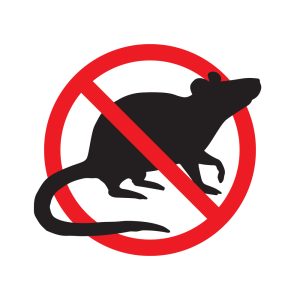 get rid of rats