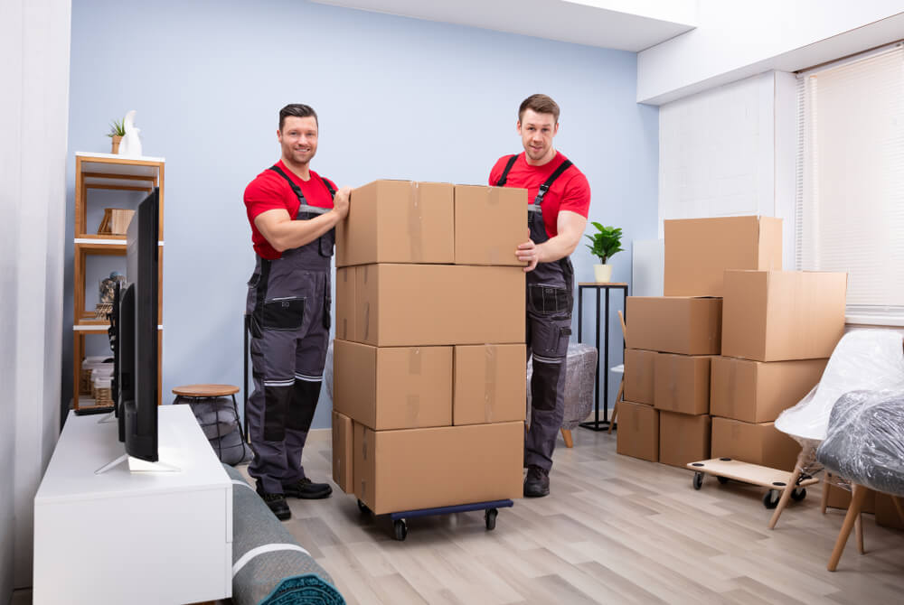 Best Moving Companies