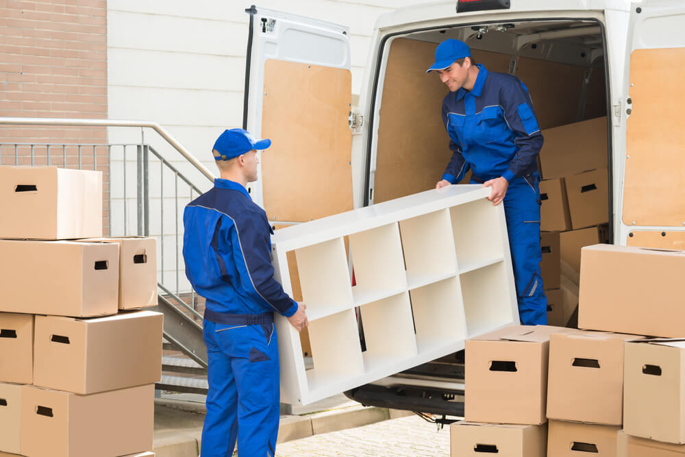 Furniture Protection